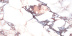 Плитка Laparet Calacatta Viola Калакатта Виола  глянц. рект. арт LP6012B0160R (60х119,5)